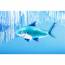 Ballon Gant Requin