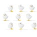 9 Petits Poussins de Pques Blanc - 7 cm. n1