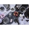 6 Sacs Cadeaux Chat images:#3