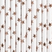10 Pailles Blanches - Etoiles Mtalliss Rose Gold. n1