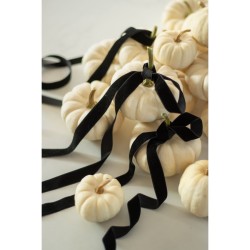 Ruban Velours Noir  15 mm x 10 m. n1