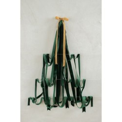 Ruban Velours Vert Bouteille  25 mm x 10 m. n1