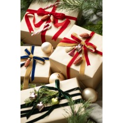 Ruban Velours Rouge  25 mm x 10 m. n2