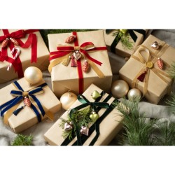 Ruban Velours Or Froid  25 mm x 10 m. n2