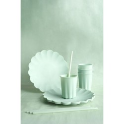 12 Pailles en Plastique – Vert – 23 cm. n°1