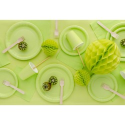 6 Assiettes Vert Pastel �23 cm - En carton. n�1