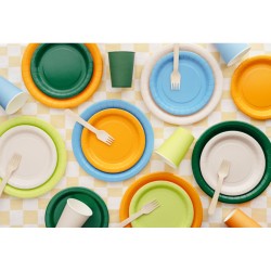 6 Assiettes Vert Pastel �23 cm - En carton. n�2