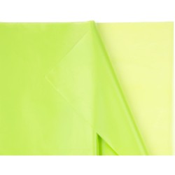 Nappe Vert Pastel 137 x 183 cm - R�utilisable en plastique. n�1