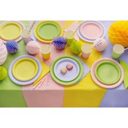Nappe Vert Pastel 137 x 183 cm - R�utilisable en plastique. n�3