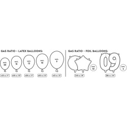 Bouteille d H�lium Rose Clair � jusqu � 20 ballons. n�2