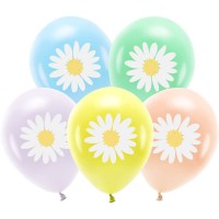 5 Ballons Marguerite Pastel