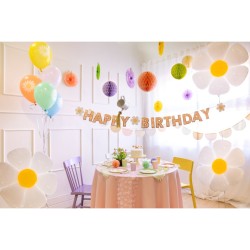 5 Ballons Marguerite Pastel. n°1