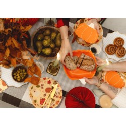 6 Assiettes Citrouille. n�2