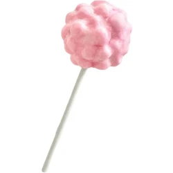 Sucette Brain Sucker  Bubble Gum en forme de cerveau. n1