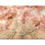 Moule Pop-it - Diadmes Princesse