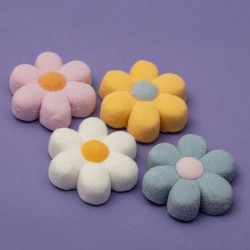 12 Marshmallow Treats - Fleurs Pastel. n�2