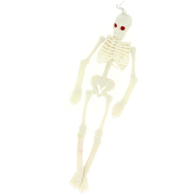 1 Squelette (21 cm) 