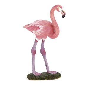 Flamant rose