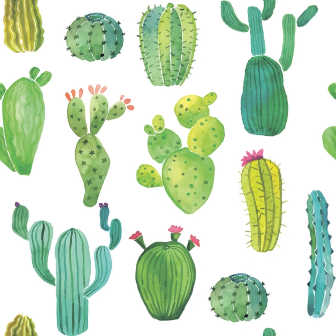 20 Serviettes Cactus 
