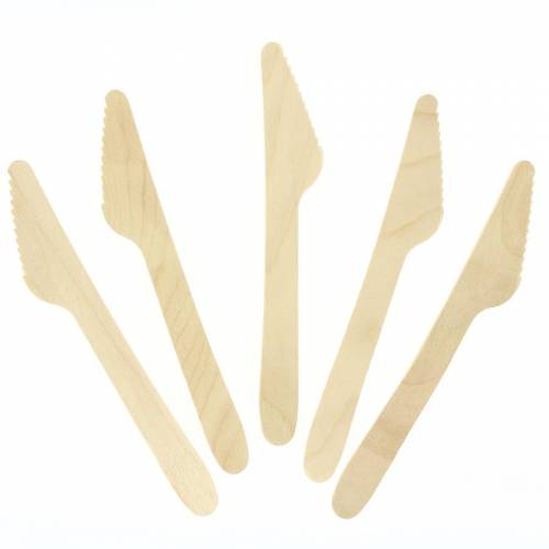 10 Couteaux en Bois - Biodgradable 