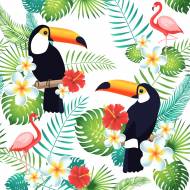 Theme D Anniversaire Tropical Birds Pour Votre Enfant Annikids