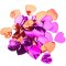 Confettis Coeurs Maxi - Rouge et Rose images:#0