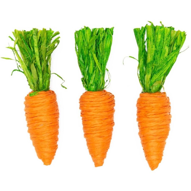 3 Décors Carottes (10 cm) 