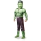 Déguisement Luxe Hulk images:#0