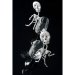 2 Squelettes Argent à Paillettes. n°6