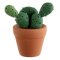 Marque-Place Cactus (5,5 cm) - Résine images:#0