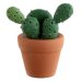 Marque-Place Cactus (5,5 cm) - Résine. n°1