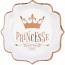 10 Assiettes Princesse Rose Gold