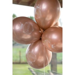 6 Ballons Princesse Rose Gold. n1