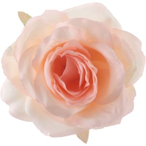 Sachet de 4 Roses Ø 10 cm - Pêche