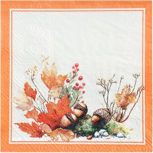 20 Petites Serviettes Automne Enchant�