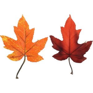 Lot de 8 Feuilles d'Automne
