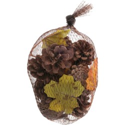 Assortiment de Pommes de Pin. n�1