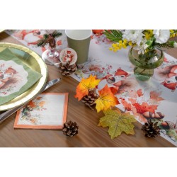 Assortiment de Pommes de Pin. n�2