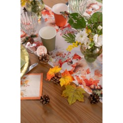 Assortiment de Pommes de Pin. n�3