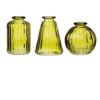 Set de 3 Vases - Olive