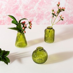 Set de 3 Vases - Olive. n2