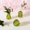 Set de 3 Vases - Olive images:#2