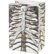 6 Lanternes Squelette (14 cm) - Papier