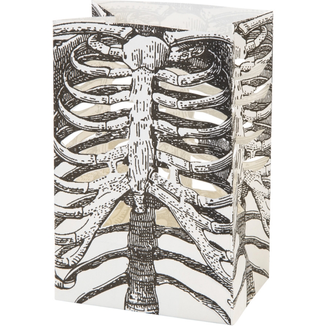 6 Lanternes Squelette (14 cm) - Papier 