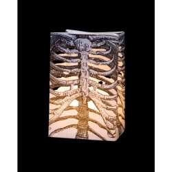 6 Lanternes Squelette (14 cm) - Papier. n2