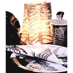6 Lanternes Squelette (14 cm) - Papier. n3