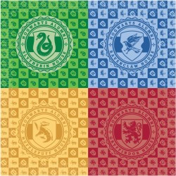 Grande bo�te � f�te Harry Potter Houses. n�3