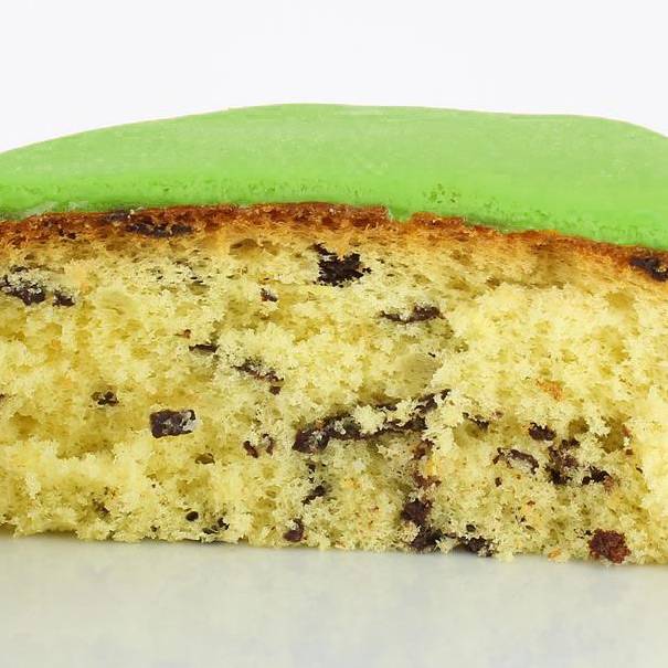 Gteau Jungle  22 cm,  8 / 10 parts Gnoise ppites chocolat 