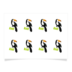 8 Tatouages  personnaliser - Toucan. n1