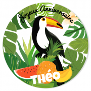 Fotocroc  personnaliser - Tropical Toucan